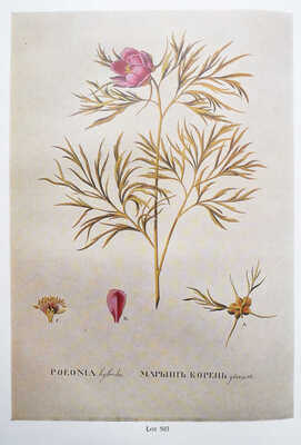 [Библиотека Дягилева-Лифаря. Каталог аукциона «Сотбис» 28-30 ноября - 1 декабря 1975 г.] London, 1975.